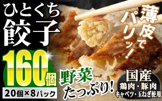 【野菜たっぷりヘルシー♪】一口ぎょうざ160個セット B-636