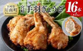 《発送月が選べる》宮崎 手羽ぎょうざ 16本 1kg 【鶏肉 鳥 手羽先 手羽 餃子 ぎょうざ ギョーザ おつまみ 送料無料】 [E7214]