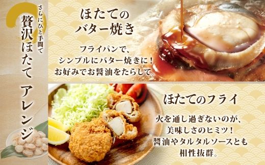 1916.ボイル ほたて 500g ホタテ 2Lサイズ 大粒 帆立 魚介 海鮮 貝 お取り寄せ グルメ 贈り物 冷凍 送料無料 北海道 弟子屈町