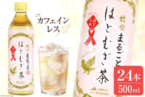 能登まるごとはとむぎ茶　500ml [はくい農業協同組合 石川県 宝達志水町 38600478] 