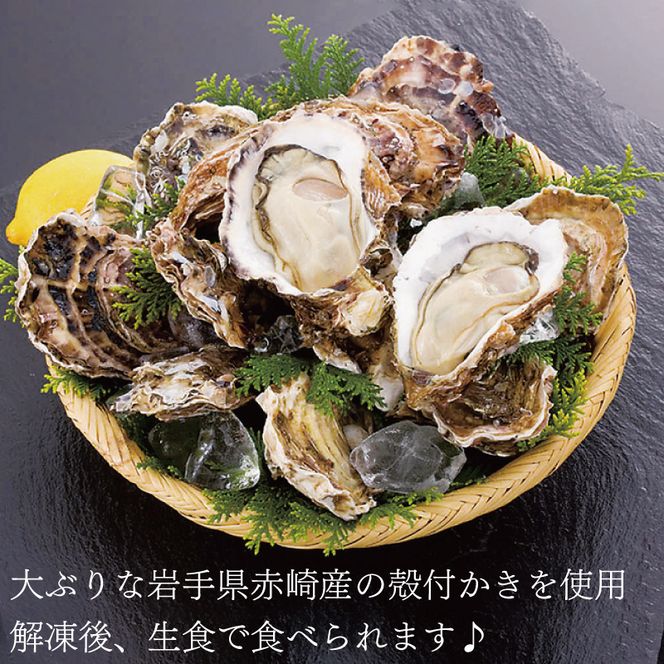 数量限定　生牡蠣　カキ　10キロ　軍手ナイフ付　伊万里湾産　送料無料 特大岩牡蠣｜長崎県 九十九島産（約350g以上〜／個） 4個セット