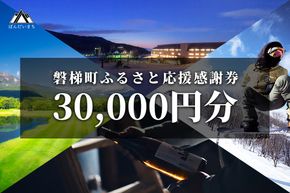 町内の星野リゾートでも利用可　磐梯町ふるさと応援感謝券（30,000円分）