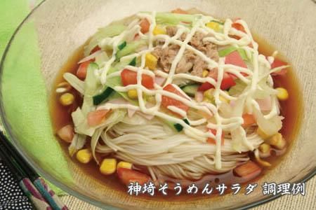 佐賀県特産品 神埼そうめん 3入 【素麺 そうめん 乾麺 お中元 贈答用 無添加 夏 自家用 麺類 簡単 手軽 保存食 佐賀県産 国産】(H014142)