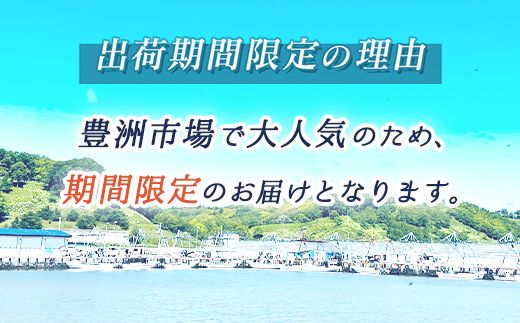 【先行予約】 北海道 仙鳳趾名産 むき牡蠣 500g×1コ K5-5＜出荷期間：2026年6月1日～7月末＞ 豊洲市場で大人気のため期間限定出荷 仙鳳趾 かき漁師直送 剥き 牡蠣 むき身 剥き身 むき牡蠣 絶品 産地直送 北海道 釧路町 釧路超 特産品 121-1267-25