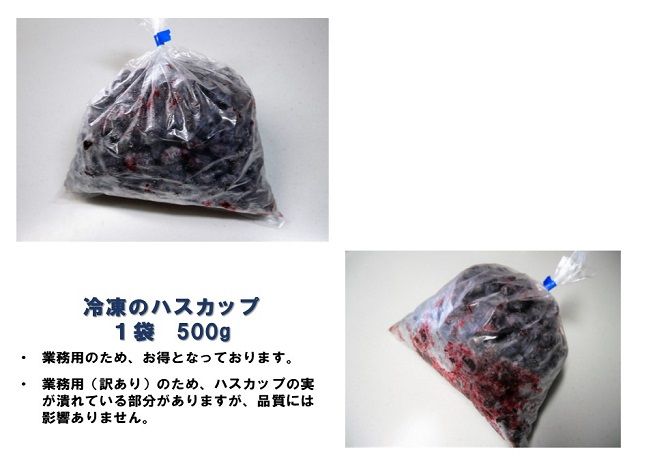 1354.北海道特産の果実ハスカップ、業務用(訳あり)１ｋｇ