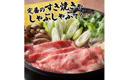 【6ヶ月定期便】宮崎牛定期便【肉 牛肉 国産 宮崎県産 宮崎牛 黒毛和牛 和牛 焼肉 BBQ すき焼き しゃぶしゃぶ 焼きしゃぶ 4等級  A4ランク 肩ロース ウデ モモ 】[C11122t6]