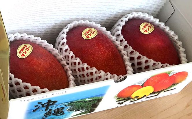 【先行受付】【2024年発送】とうはらマンゴー園の美味しいマンゴー秀品（特上）約1kg
