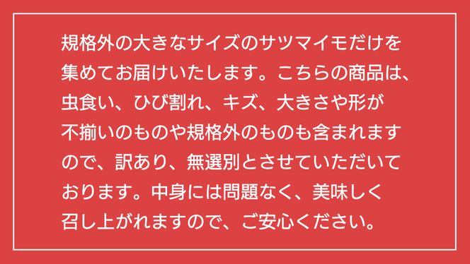 【 先行予約 2024年11月下旬以降発送 】【 訳あり 】 八千代町産 巨大芋 シルクスイート 生芋 土付き 10kg さつまいも サツマイモ 芋 イモ ふるさと納税 6000円 訳アリ [AX051ya]