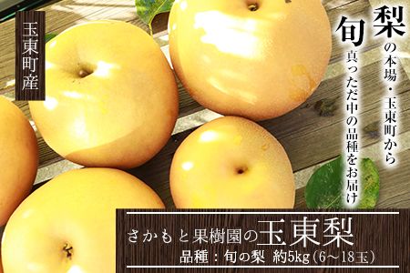 『さかもと果樹園』の玉東梨 約5kg 6玉-18玉前後 《8月上旬-10月上旬頃出荷》熊本県玉名郡玉東町 梨 なし 果物 フルーツ 旬の梨---sg_csakanasi_ad810_24_14000_5kg---