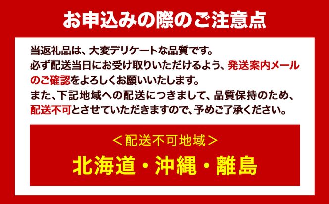 【訳あり】 ご家庭用 和歌山の桃 約2kg (6玉~8玉) m&n果実園 【配送不可地域あり】《6月中旬-7月下旬頃出荷》和歌山県 紀の川市 モモ 桃 もも 旬 白鳳 日川白鳳 なつっこ 果物 フルーツ---wsk_cmnk4_k6_23_12000_2kg---