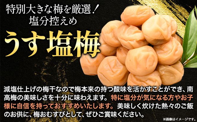 高級南高梅 うす塩 500g 網代模様仕上紀州塗箱入り 澤株式会社《90日以内に出荷予定(土日祝除く)》和歌山県 日高町 梅干し うす塩梅 紀州南高梅 紀州塗 送料無料---wsh_swa5_90d_24_14000_500g_a---