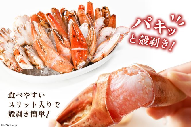 大人気！リピーター続出 まるずわいがに 肩脚肉 総重量1kg (3-5肩相当) [カネダイ 宮城県 気仙沼市 20564327] かに カニ かに物語 まるズワイガニ  丸ずわいがに マルズワイガニ 蟹 ずわい（宮城県気仙沼市） | ふるさと納税サイト「ふるさとプレミアム」