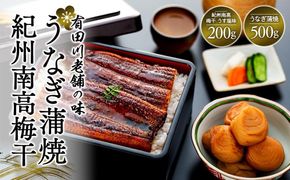 うなぎ蒲焼 4尾 合計 500g  紀州南高梅干 200g うす塩味 塩分10％ セット  Y021