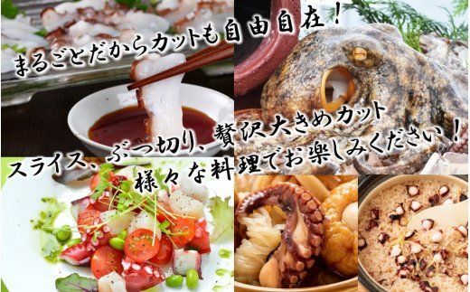 船上活き締め！ゆでたこ丸ごと約1kg（約1～４杯）_1812R