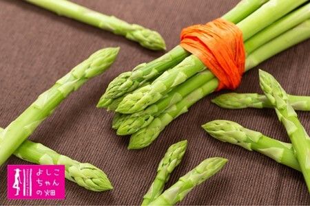 yꌧ_szyst ߘa8N3蔭zt̃AXp 1.2kg yAXp AXpKX O[AXpKX f o[xL[ BBQ  ̂ꂽ  z(H013106)