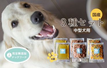 [中型犬用]ウェットドックフード 3種類セット