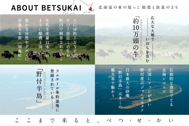 ひがし北海道 別海町の旅（日本全国発着 ANA往復 航空券 + 別海町 宿泊 1泊 北海道 旅行 旅行券 ホテル 旅館 宿泊券 ）