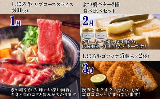 しほろ プレミアム 定期便 全10回 しほろ牛 リブロース サーロインステーキ よつ葉 バター コロッケ ポテトチップス フライドポテト ローストビーフ アイス 国産 冷凍 詰め合わせ お取り寄せ 頒布会 送料無料 十勝 士幌町【X26】