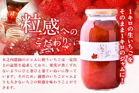 果実ぎっしり！木之内農園の手作りいちごジャム　2kg（1kg×2本）《30日以内に出荷予定(土日祝を除く)》 熊本県南阿蘇村 イチゴ 苺 減農薬 大粒---isms_kinonsb_30d_r7_15500_2kg---