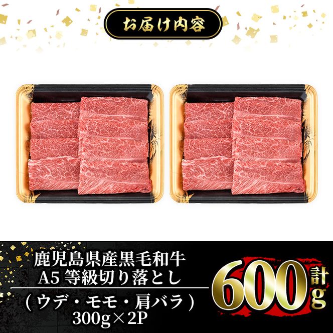 a855 ≪A5等級≫鹿児島県産黒毛和牛切り落とし計600g(300g×2P)【水迫畜産】姶良市 国産 牛肉 切り落とし