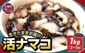 【令和8年1月より発送】活ナマコ（1kg：3個～5個）【0tsuchi00380】