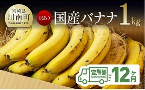 果物 【訳あり】国産バナナ １ｋｇ【12ヶ月定期便】【 国産 バナナ 無農薬 フルーツ 果物 デザート 朝食 スムージー 宮崎県産 川南町 全12回 】 [F5805]