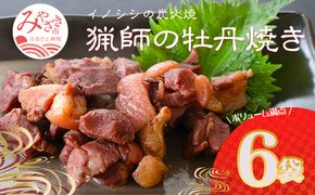 猟師の牡丹焼き(イノシシの炭火焼き)100g×6袋_M136-001