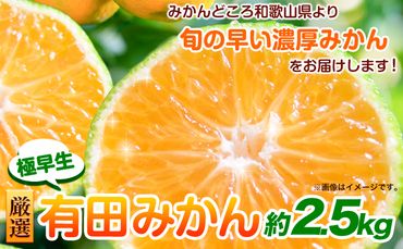 ＜先行予約＞厳選　極早生有田みかん2.5kg+75g（傷み補償分）【YN26・ゆら早生】池田鹿蔵農園@日高町（池田農園株式会社）《9月中旬-11月中旬頃出荷》和歌山県 日高町---wsh_idn44_9c11c_24_7000_2500g---