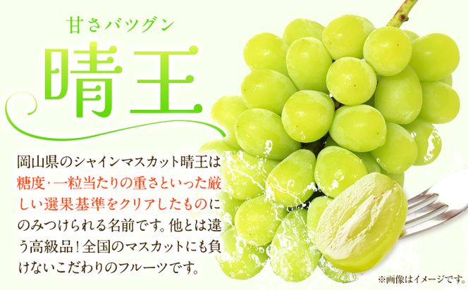 【先行予約】 岡山白桃 & シャインマスカット（晴王）セット【配送不可地域あり】 《7月上旬-8月中旬頃出荷》 岡山県 矢掛町 桃 白桃 もも 岡山白桃 シャインマスカット マスカット ぶどう 晴王---osy_chbf32_ae7_26_41000_ls---