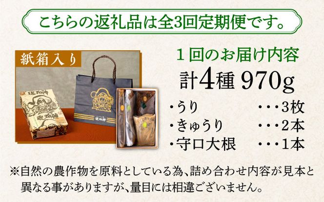 【全3回定期便】奈良漬 「琥珀漬」紙箱入り 970g【明治神宮ご奉献品】《築上町》【有限会社奈良漬さろん安部】奈良漬 奈良漬け ギフト 贈り物 贈答[ABAE049]