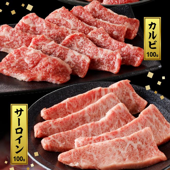 宮崎牛焼肉食べ比べ3種盛合計300g N0140-A580