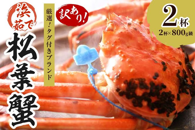 ys{Oszy󂠂II^Otuhz@䥂ŏtɁ@NxQAl䥂łɂĂ͂II 800gi1{j×2t YK00434