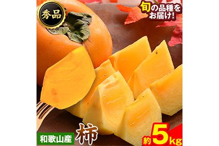 和歌山県産 和歌山県産 柿 秀品 約5kg 前商店[9月下旬-11月中旬頃出荷]柿 かき フルーツ スイーツ 果物 送料無料---wsk_mes21_9g11c_25_14000_5kg---