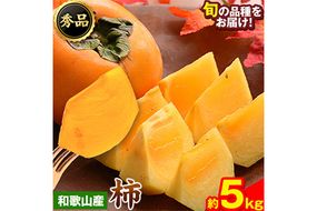 和歌山県産 和歌山県産 柿 秀品 約5kg 前商店《9月下旬-11月中旬頃出荷》柿 かき フルーツ スイーツ 果物 送料無料---wsk_mes21_9g11c_25_14000_5kg---