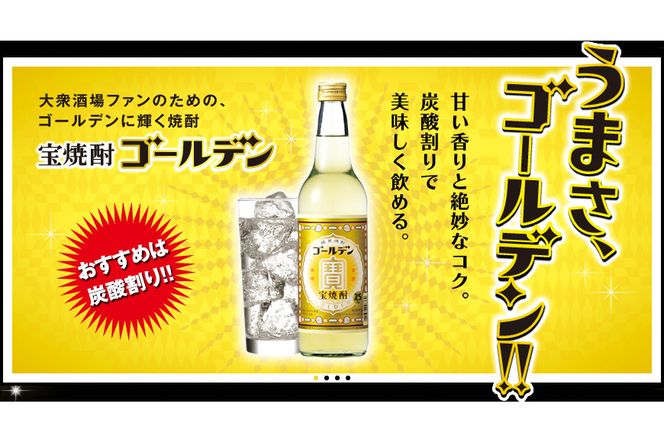 BE175宝焼酎「ゴールデン」25度 360ml×12本入