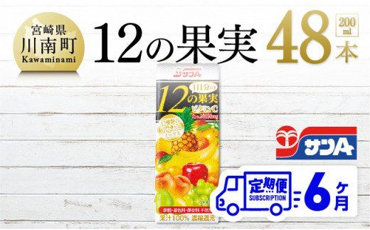 飲料 [6ヶ月定期便] サンA 1日分の12の果実 200ml×48本セット [C03063t6]