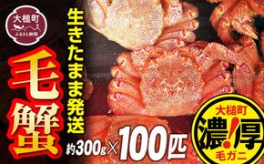 【令和7年発送】三陸産！活毛ガニセット 300g×100杯【2025年2月〜4月発送】【配送日指定不可】【0tsuchi01006-24-3】【08】