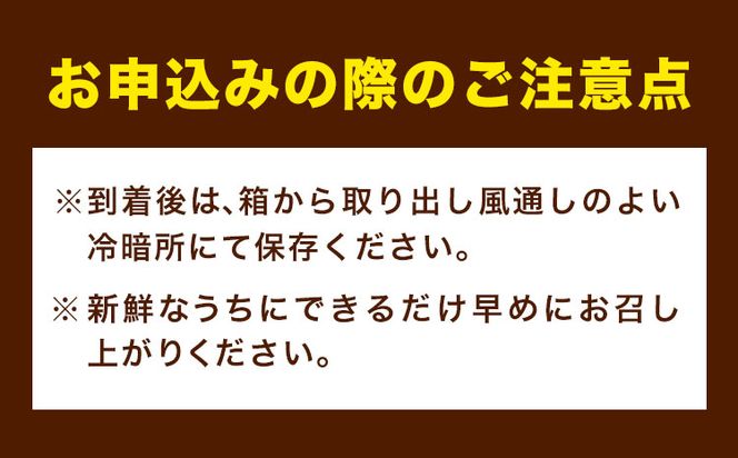 【先行予約】赤秀品 紀州和歌山 ハウス みかん 約 2.5kg 株式会社魚鶴商店《2027年6月下旬頃〜7月下旬頃出荷》和歌山県 日高町 みかん ミカン 蜜柑 フルーツ 柑橘---wsh_uot153_6g7g_25_21000_2500g---