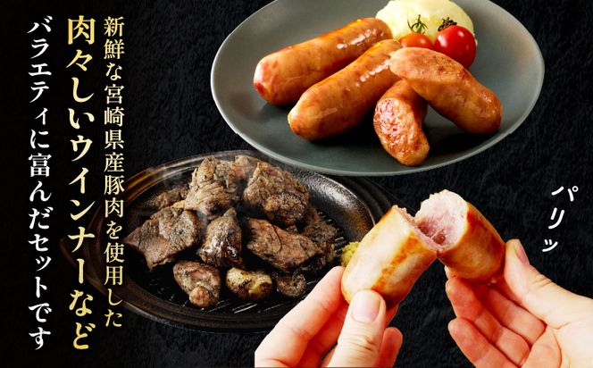 宮崎県産豚肉加工品セット（合計1.1ｋｇ 8種類）_M009-009