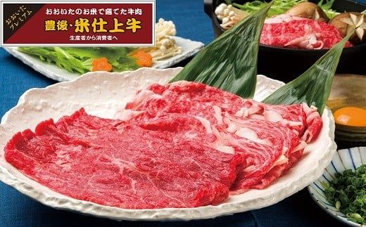 E-34 豊後・米仕上牛ロース・もも肉すき焼きセット（計600g）