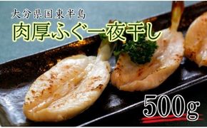 肉厚ふぐの一夜干し500g_1317R