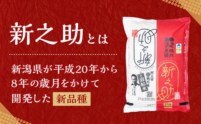【令和7年産米】【精米即日発送】新潟県村上市 桃川産 特別栽培米 新之助 8kg　AB4037
