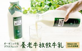 【定期便：全12回】オーガニック＆グラスフェッド養老牛放牧牛乳900ml×2本【13015】