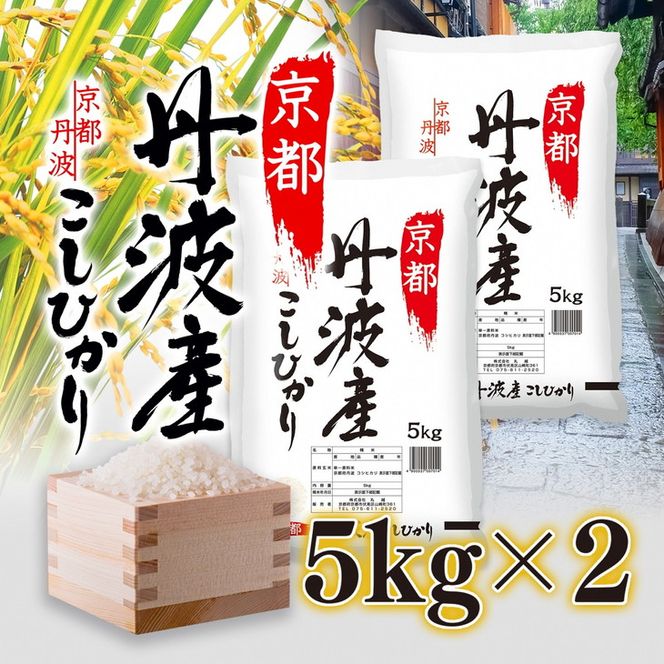 京都丹波産 こしひかり 5kg×2 計10kg ◇※米食味鑑定士厳選 ※精米したてをお届け【京都伏見のお米問屋が精米】京都丹波産 特Ａ《米 令和5年産》 ※沖縄本島・離島への配送不可