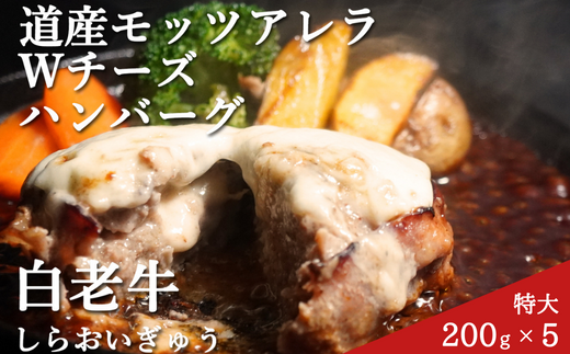 ykCszYa_u`[Yno[Oi200gj5 MROA047