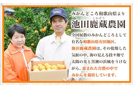 訳あり 不知火 デコポン 同品種 みかん ご家庭用 2.5kg+250g(傷み補償分) 池田鹿蔵農園 @日高町 《2月上旬-3月末頃より出荷予定》和歌山県 日高町 送料無料 しらぬい でこぽん 家庭用 訳あり不知火 訳ありデコポン 【配送不可地域あり】---wsh_idn334_2j3m_25_10000_2500g---