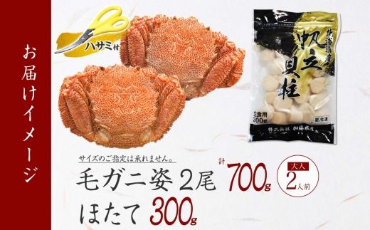 2459. 毛蟹 2尾 計700g前後 ホタテ 300g 専用ハサミ・食べ方ガイド付き 毛ガニ 毛がに 蟹 カニ カニ味噌 ほたて 帆立 貝柱 海鮮 ボイル 送料無料 北海道 弟子屈町