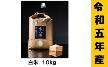 【令和5年産】 極上のコシヒカリ「708米（なおやまい） 【黒】」10kg(5-25A)