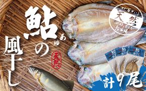 R5-489．四万十川天然鮎の風干し（干物）3尾入×3パック（合計9尾）