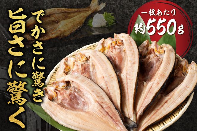 北海道産 なまらでかい！開きホッケ 5枚セット ( ほっけ 海鮮 魚 冷凍 ふるさと納税 真空パック プレゼント お中元 お歳暮 贈答 贈り物 )【094-0049】